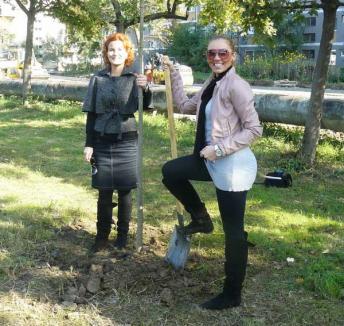 Adenandra plantează peste 500 de pomi în Oradea